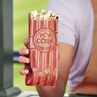 Popcorn Bags