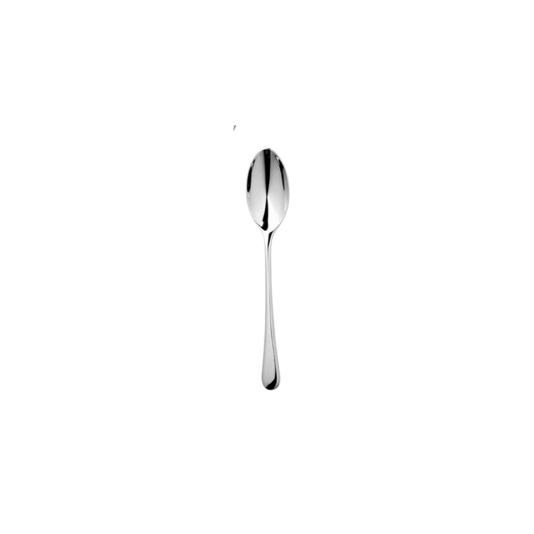 Iona Bright Teaspoon